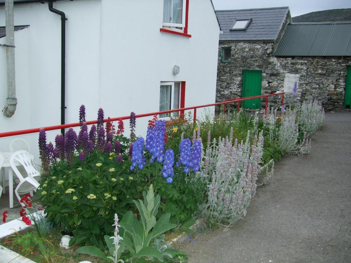 Reenmore Farmhouse Ahakista Exterior photo